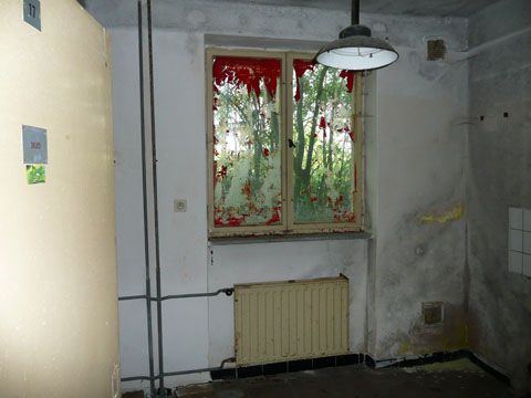 Foto 77
